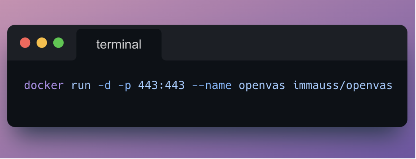 Terminal: docker run command