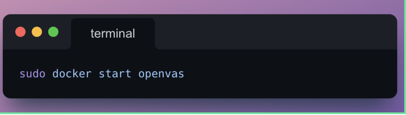 Terminal: sudo docker start openvas